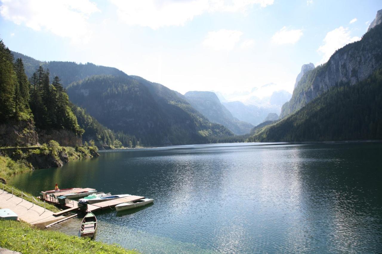 Appartement Predigstuhlblick Mit Indoorpool Und Sauna 巴德哥依斯恩 外观 照片
